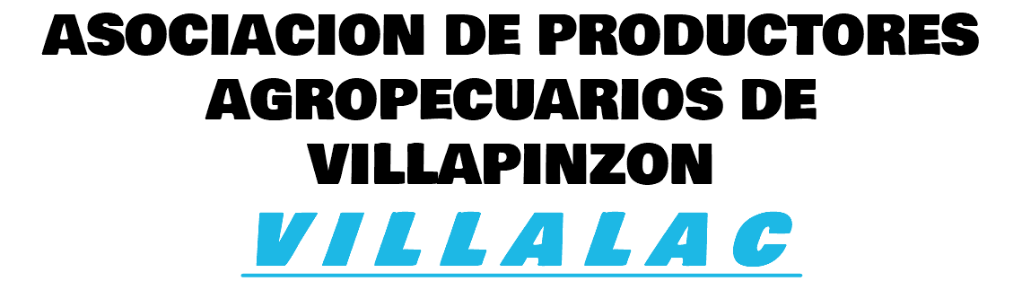 ASOCIACION DE PRODUCTORES AGROPECUARIOS DE VILLAPINZON V I L L A L A C 